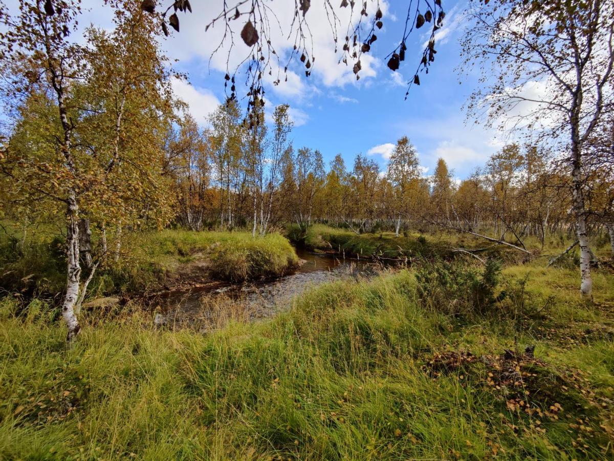 Villa Lavijoki Кааресуванто Экстерьер фото